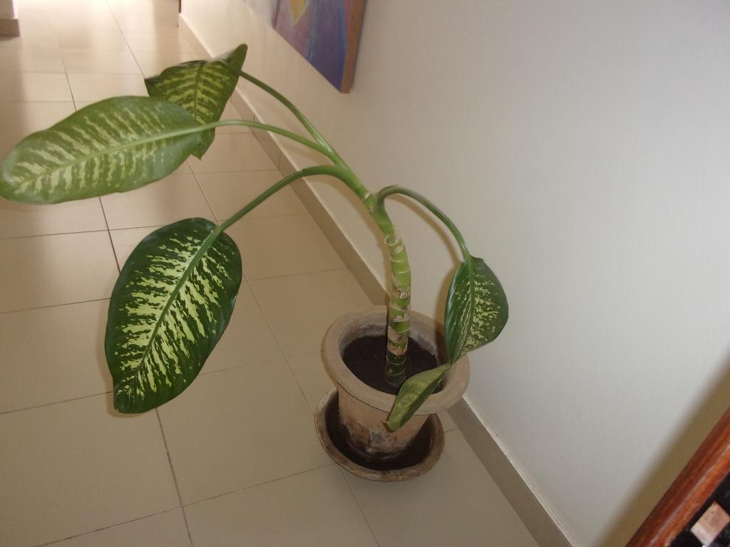 Meuble A Mbao Apartment